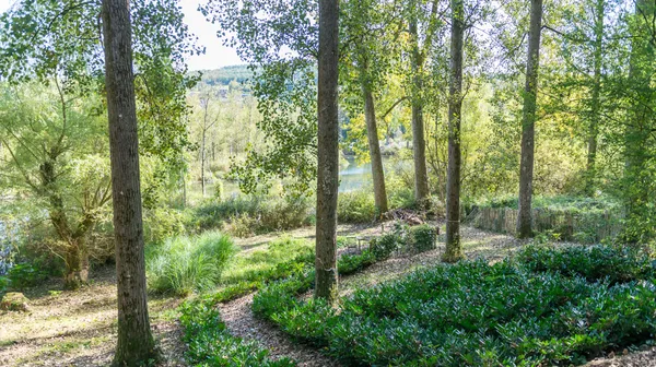 1770285769-21) wilde tuin (17)